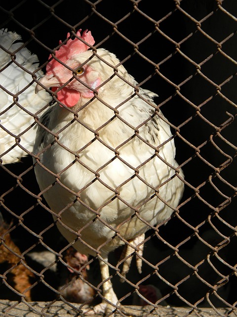 青年的冷静 青年的冷静