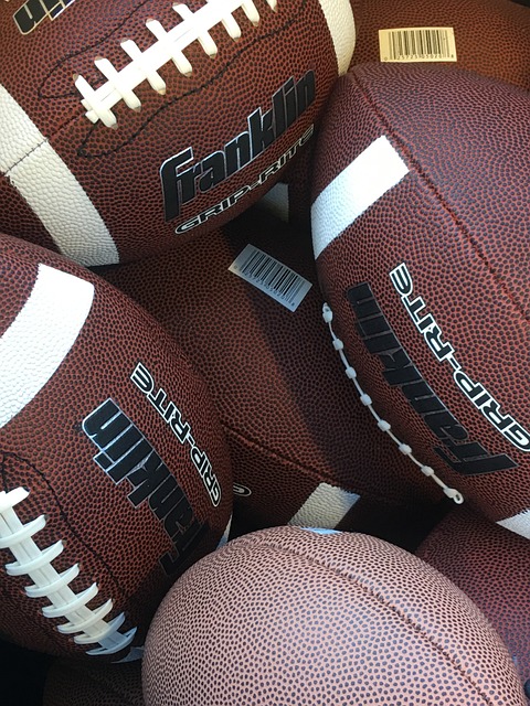 詹姆斯的职 詹姆斯的职